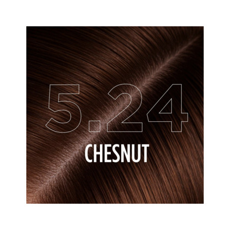 5.24 - CHESTNUT