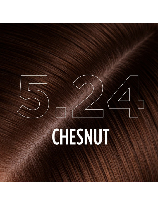 5.24 - CHESTNUT