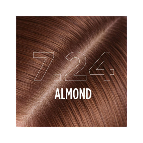 7.24 - ALMOND