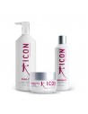 Antioxidante Pack - Fully Litro - Antidote - Infusion