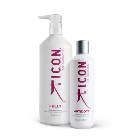 Antioxidante Pack - Fully Litro - Antidote