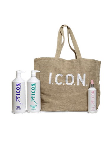 PACK ICON Reparación Verano