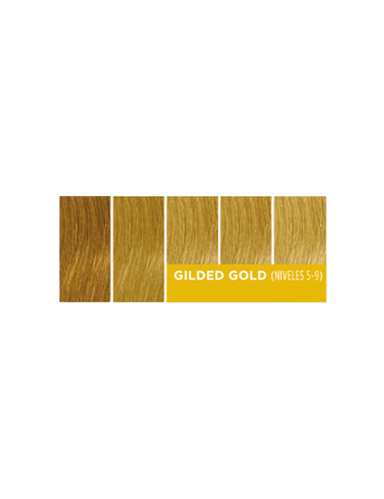Stained Glass - Gilded Gold
