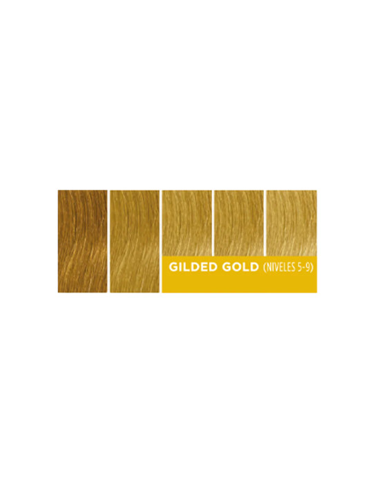 Stained Glass - Gilded Gold