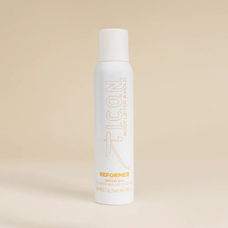Reformer Spray de Fijación