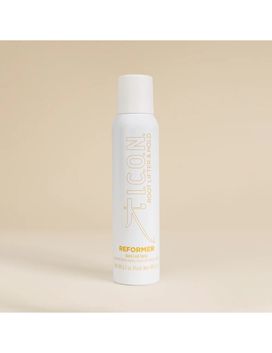 Reformer Spray de Fijación